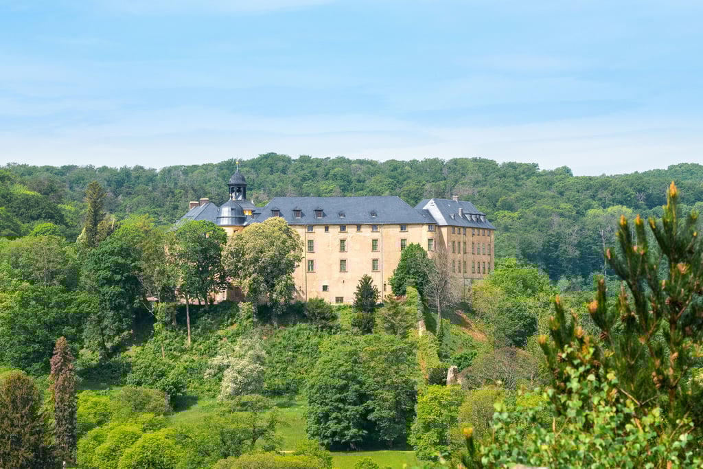 Das Große Schloss Blankenburg beherbergt im Spätsommer ganz besondere Gäste.