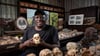Nach der Wiedereröffnung der Sterkfontein Caves sollen Besucherinnen und Besucher einen noch direkteren Einblick in die wissenschaftliche Arbeit erhalten, die diesen Ort seit fast 100 Jahren prägt.