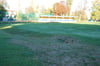 Auf dem Sportplatz des TSV Eintracht Lützen ist die einstige Weitsprunganlage nur noch zu erahnen.