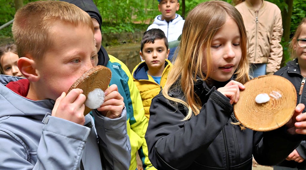 Mit Experimenten den Wald und das Drumherum erleben: Die Schüler der evangelischen Grundschule gehören zu den ersten Teilnehmern der Waldwoche.
