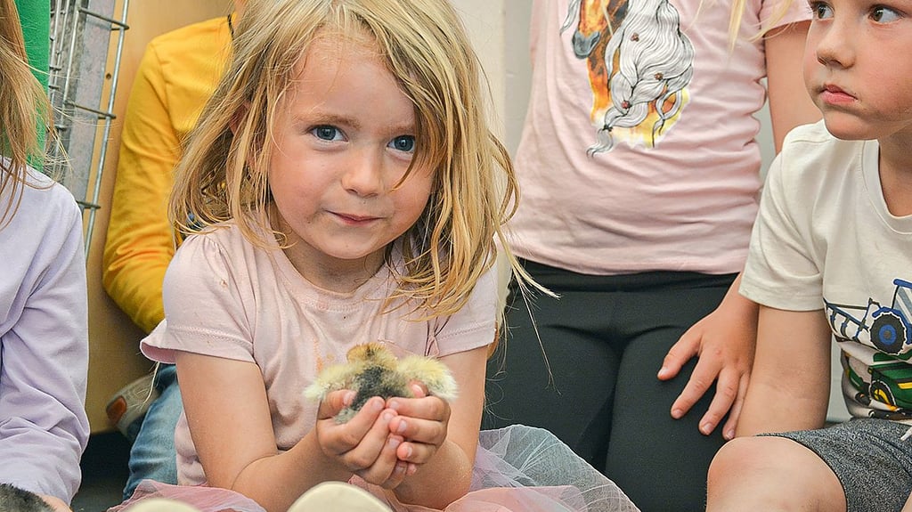 Lilly aus der Kita „Fuchsbau“ ist nun auch eine stolze Küken-Mama. Sie half beim Ausbrüten der Eier.