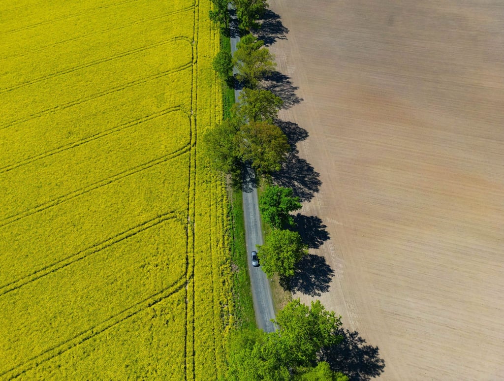 In einigen Orten Brandenburgs ist das Wetter den ganzen Tag über heiter. (Symbolbild)