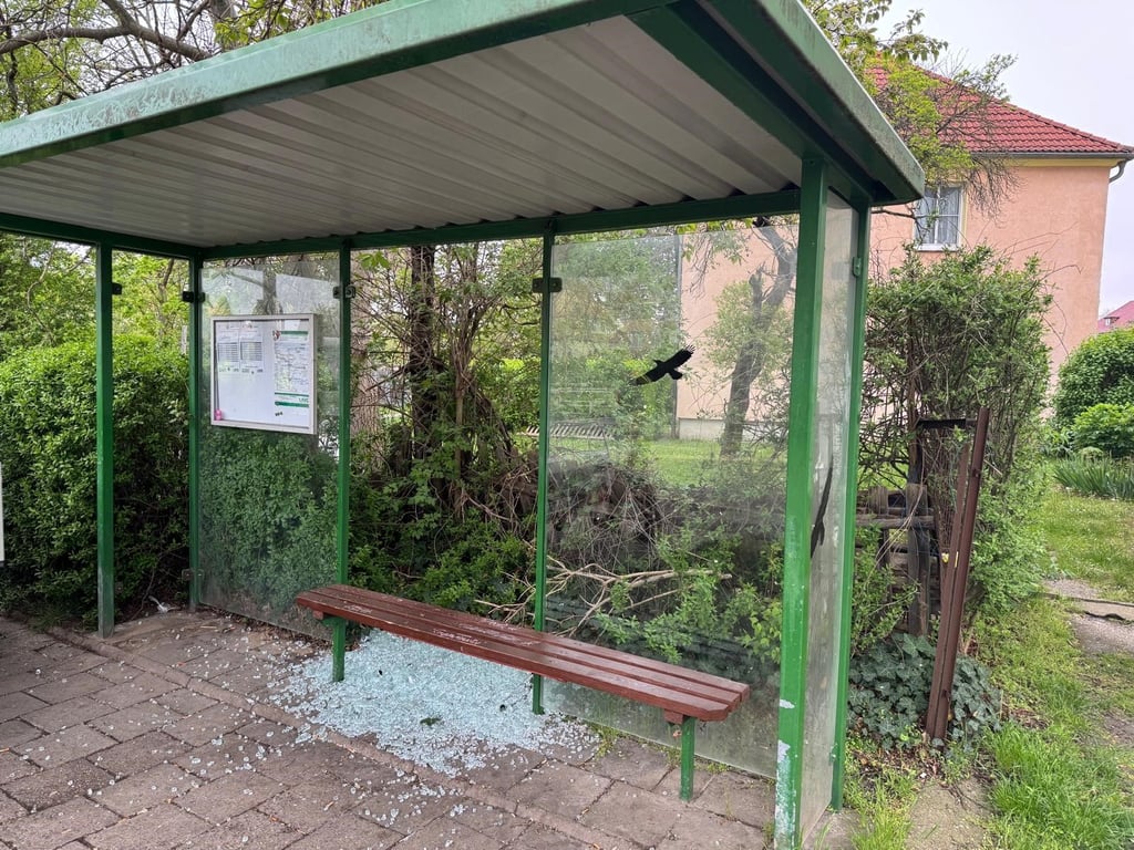 Eingeschlagene Scheibe am Wetterschutzhäuschen an der Haltestelle in Halberstadts Klusstraße.