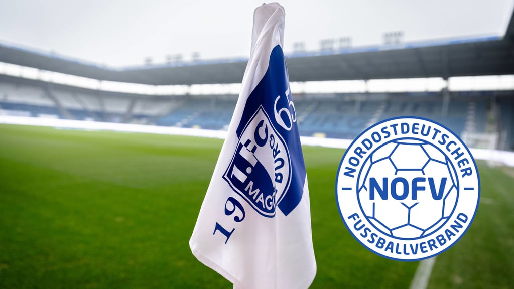 Künftig wird die U23 vom 1. FC Magdeburg in der Regionalliga spielen - auf dem Rasen in der Avnet-Arena.