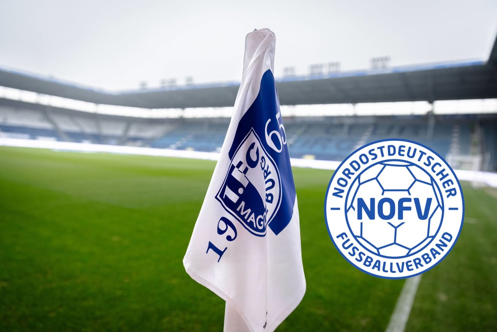 Künftig wird die U23 vom 1. FC Magdeburg in der Regionalliga spielen - auf dem Rasen in der Avnet-Arena.
