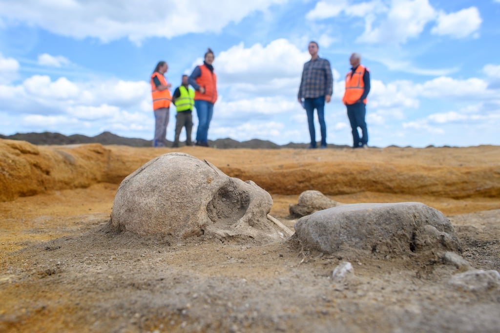 Die Überreste einer Nachbestattung einer Frau aus der Schnurkeramischen Kultur liegen auf einer Grabungsfläche vom Landesamt für Denkmalpflege und Archäologie Sachsen-Anhalt.