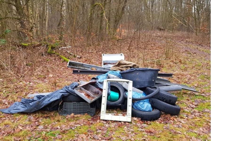 Immer wieder landet Müll in der Landschaft.