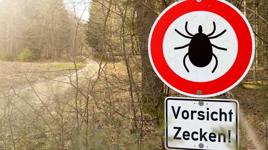 Teils wird mit Schildern in Waldgebieten vor Zecken gewarnt.