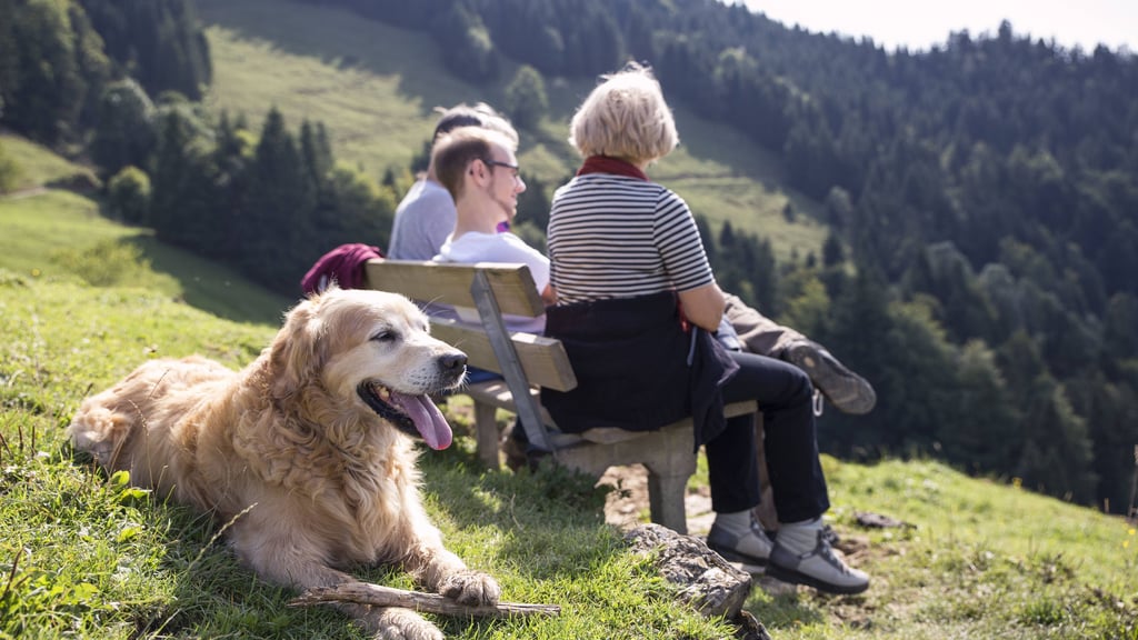 Viele Menschen nutzen die Feiertage, um Zeit mit Freunden oder der Familie zu verbringen. Das nächste Mal ist in Sachsen-Anhalt am 29. Mai frei. Dazu bietet sich ein Brückentag an.