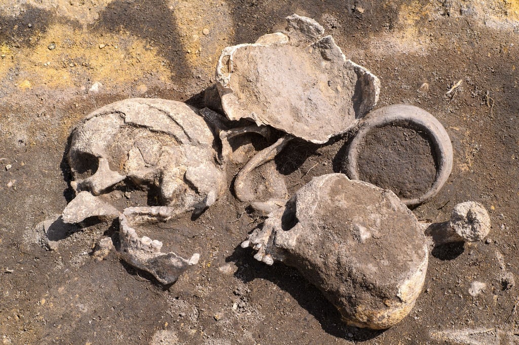 Die Schädel einer Opferdarbringung aus der späten Bronzezeit liegen auf einer Grabungsfläche vom Landesamt für Denkmalpflege und Archäologie Sachsen-Anhalt.