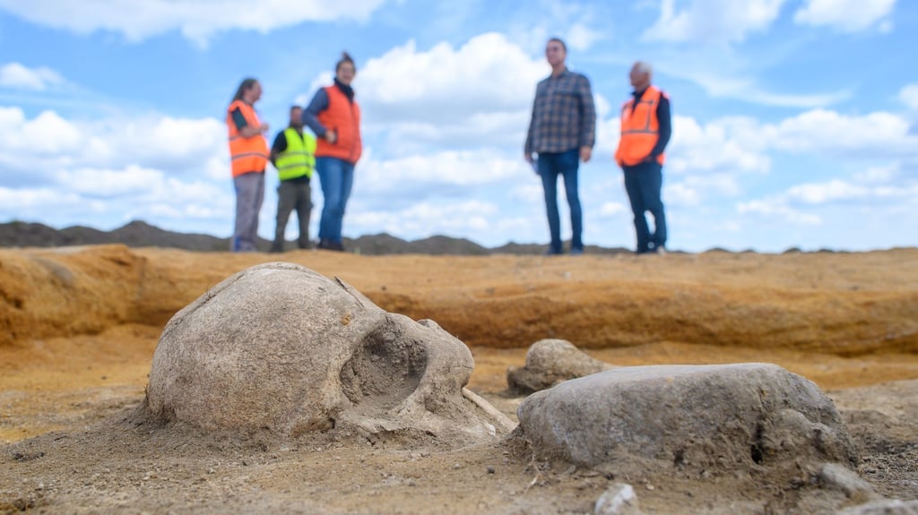 Die Überreste einer Nachbestattung einer Frau aus der Schnurkeramischen Kultur liegen in Welsleben auf einer Grabungsfläche vom Landesamt für Denkmalpflege und Archäologie Sachsen-Anhalt.