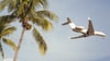 Vom Flughafen Leipzig/Halle werden im Sommer einige neue Ziele angesteuert, andere Flüge in beliebte Urlaubsregionen bleiben bestehen.&nbsp;