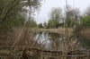 Die ehemalige Badeanstalt in Barleben –  hier die Kleine Böttche –  soll für die Natur gesichert werden. Deshalb hat die Gemeinde von ihrem Vorkausfsrecht Gebrauch gemacht und einen Bebauungsplan aufgestellt.