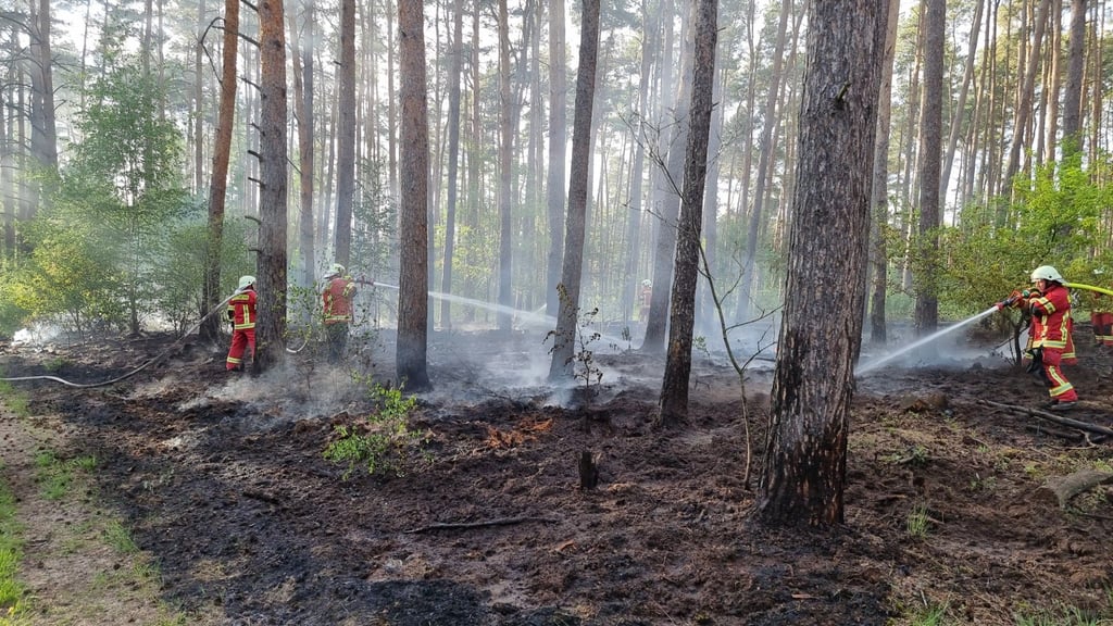 Dessau-Roßlaus Feuerwehren waren am Donnerstagabend am Spitzberg gefordert.