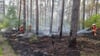 Dessau-Roßlaus Feuerwehren waren am Donnerstagabend am Spitzberg gefordert.