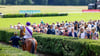Die Saison in Hoppegarten geht weiter.