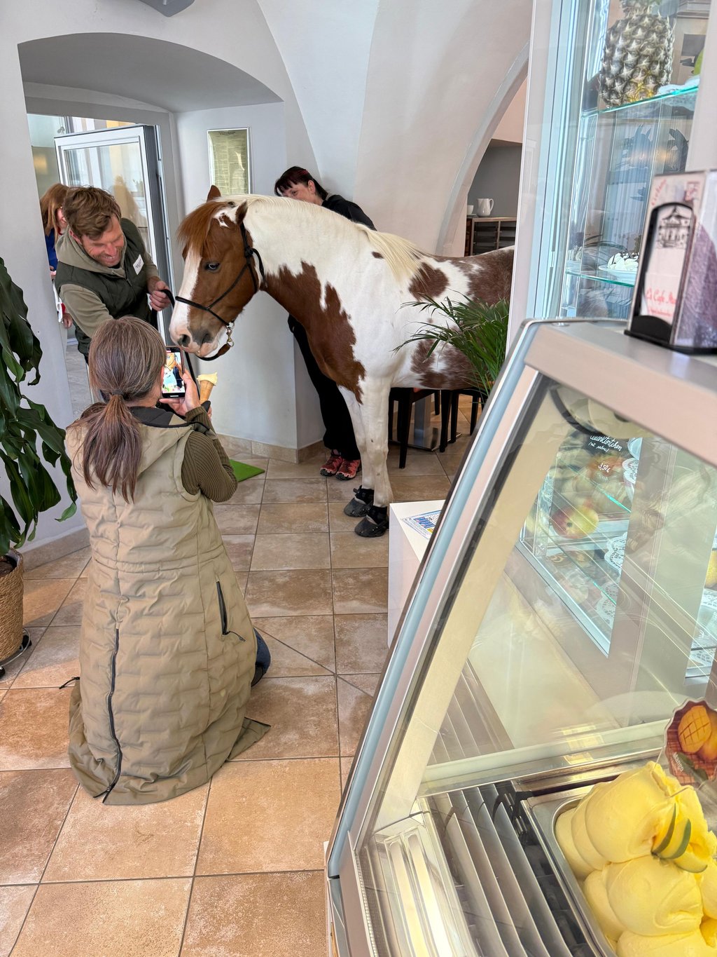 Ein Eis schleckendes Pferd steht mitten in einer Naumburger Eisdiele.