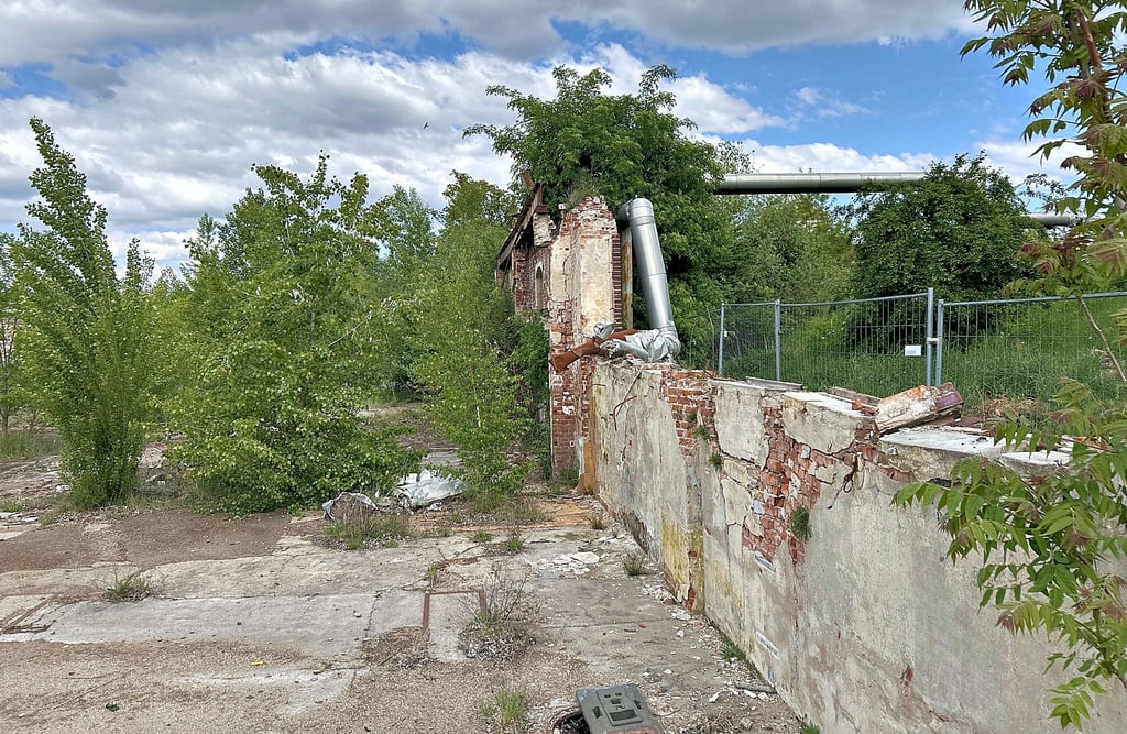 Große Teile des Areals nahe der Elbe, das in Magdeburg-Buckau bebaut werden soll, liegen brach. Das Foto zeigt den südlichen Teil der Fläche in der Nähe vom „Am Buckauer Wasserwerk“.