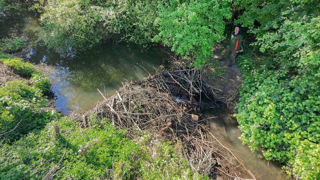 Landwirt Hans-Heinrich Schnehage steht neben einem von Biber gebauten Damm an einem Wasserlauf in der Region Hannover.