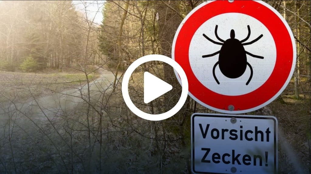 Teils wird mit Schildern in Waldgebieten vor Zecken gewarnt.