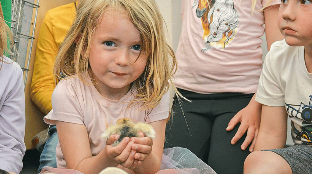 Lilly aus der Kita „Fuchsbau“ ist nun auch eine stolze Küken-Mama. Sie half beim Ausbrüten der Eier.