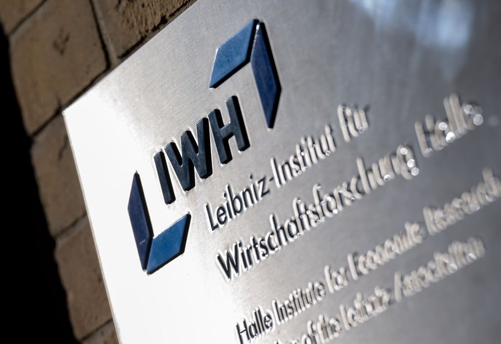 Das Institut IWH wertet monatlich Insolvenzbekanntmachungen aus und verknüpft sie mit Bilanzdaten der Unternehmen.