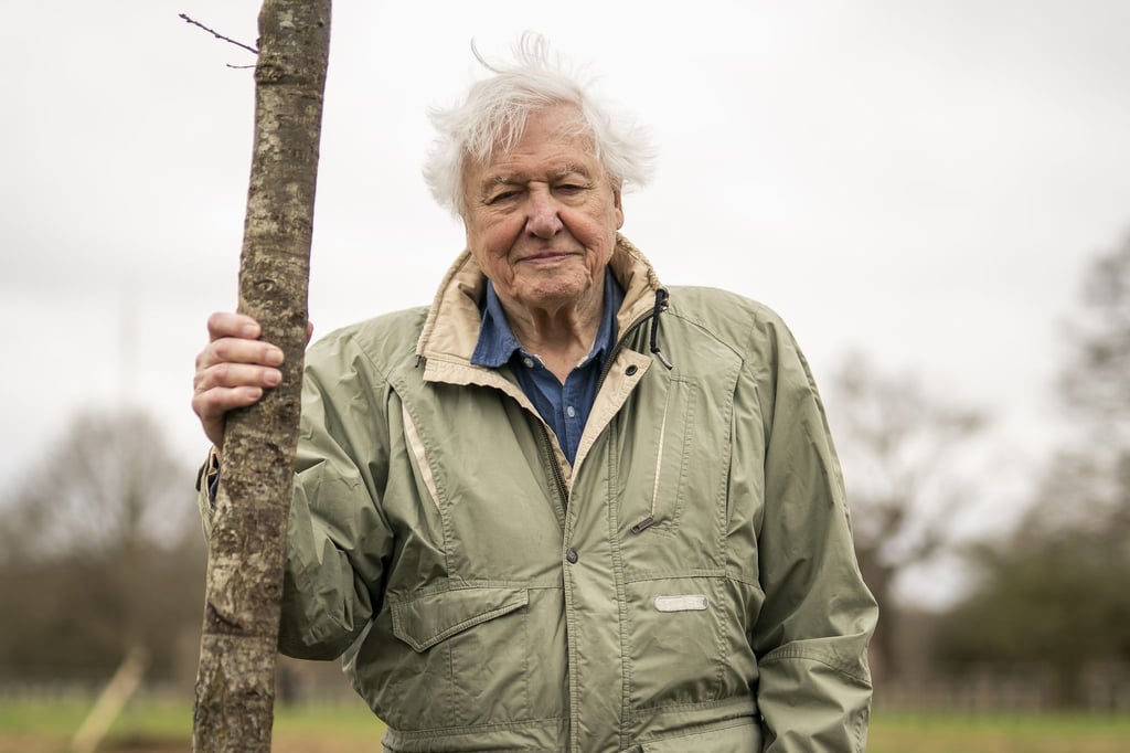 Sir David Attenborough, Naturforscher und Tierfilmer aus Großbritannien (Archivbild).