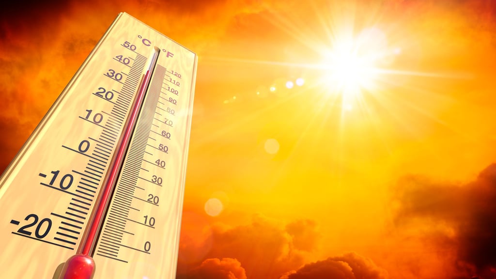 Extreme Hitze und Dürre werden derzeit für den Sommer in Deutschland vorausgesagt.