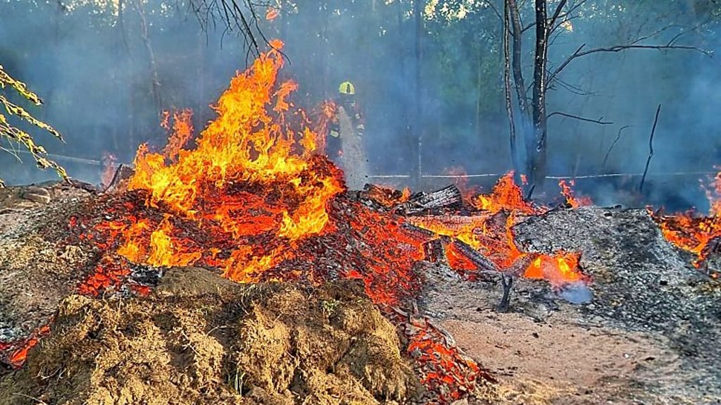 Am 7. Mai musste die Feuerwehr zu einem Brand in Zerbst ausrücken.