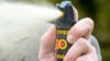 Die Polizei war im Einsatz in einer Schule in der Kastanienallee. Dort wurde Pfefferspray versprüht.