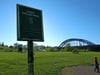Blick auf die Hundeauslaufwiese an der Sternbrücke in Magdeburg: Im Hintergrund genießen Besucher das Wetter – teils mit Picknick und Grill.