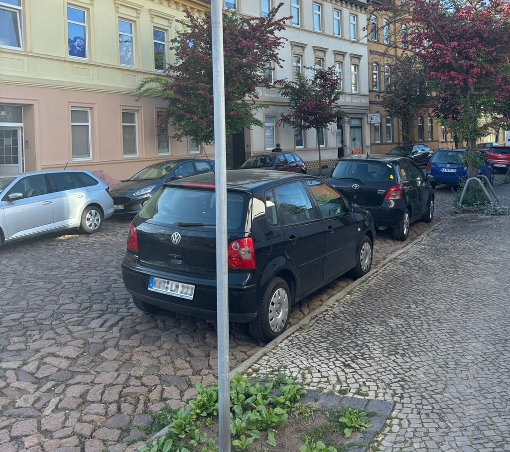 Die Verkehrszeichen für ein Halteverbot, das montags auf der einen und mittwochs auf der anderen Seite der Aribertstraße gegolten hat, sind von der Stadtverwaltung Köthen abgeschraubt worden.