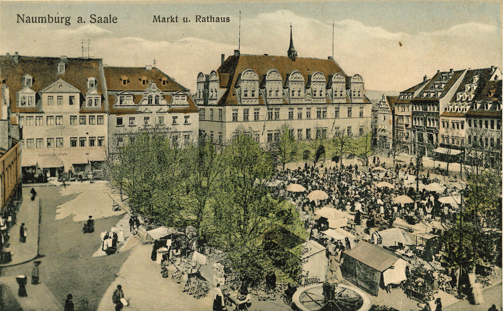 Naumburgs Markt 1913 mit viel Grün - eine kolorierte Postkarte.