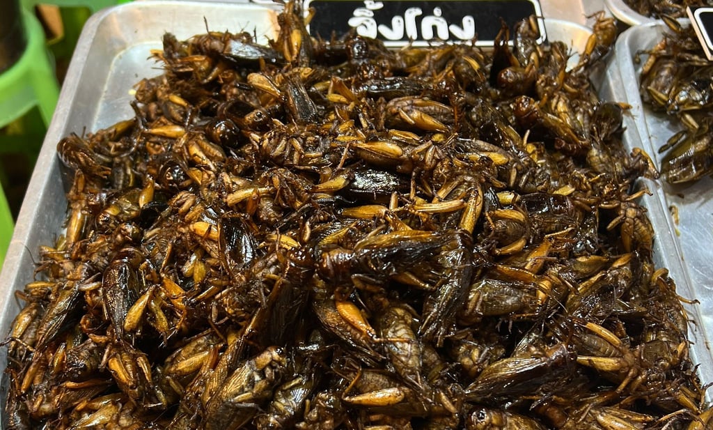 Insekten als Tierfutter könnten einen Beitrag zur Verringerung des CO2-Ausstoßes in der Lebensmittelproduktion leisten. (Symbolfoto)