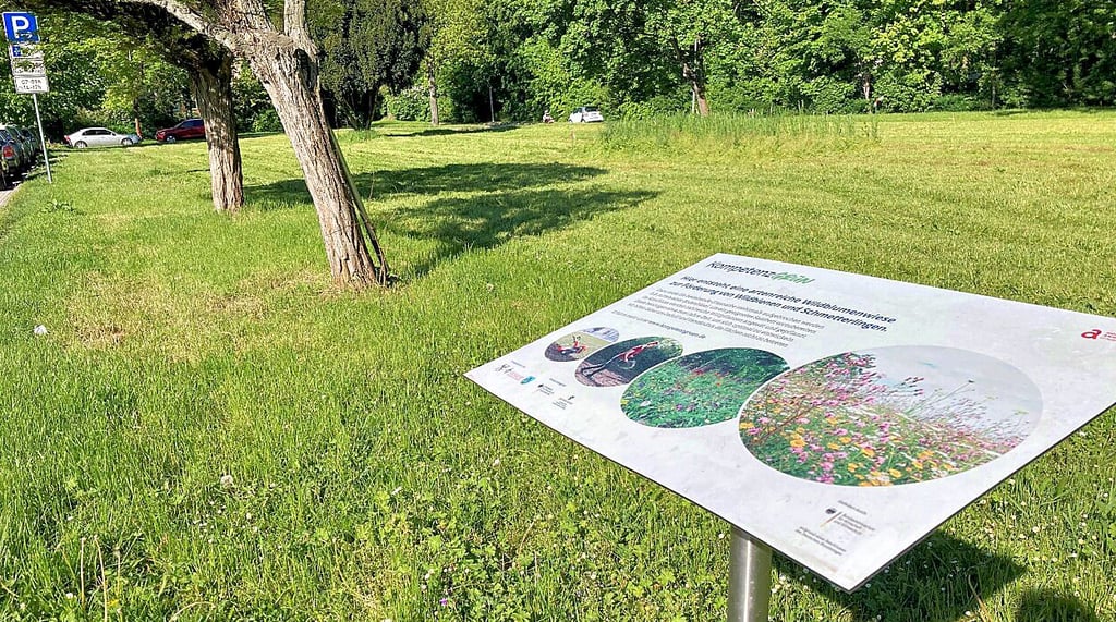 Plötzlich gemäht: Die Blühwiese in der Bad Kösener Salinenstraße ist derzeit keine mehr, doch das hat wohl seine Ordnung.