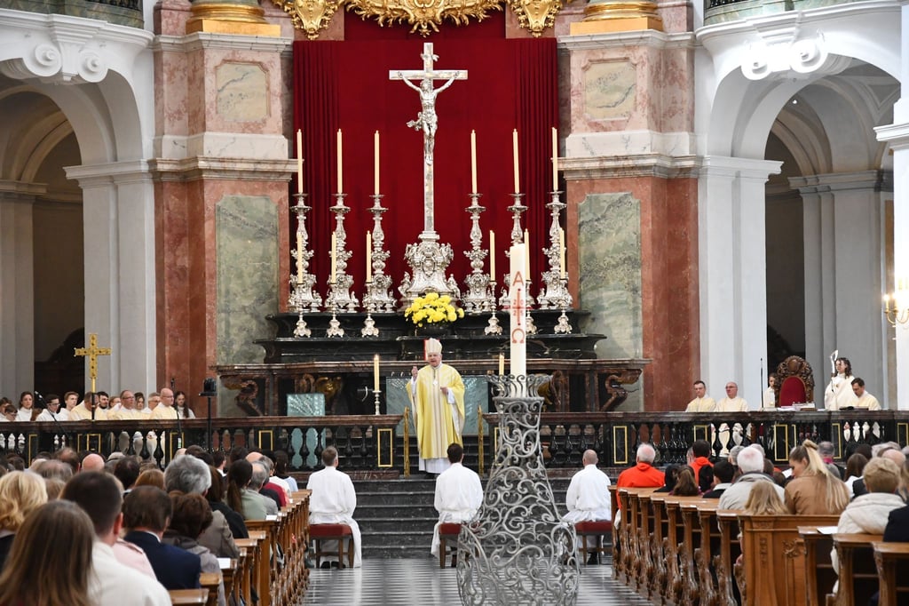 Bei einem Gottesdienst in der Dresdner Kathedrale wurden fünf neue Diakone für das Bistum Dresden-Meißen geweiht.