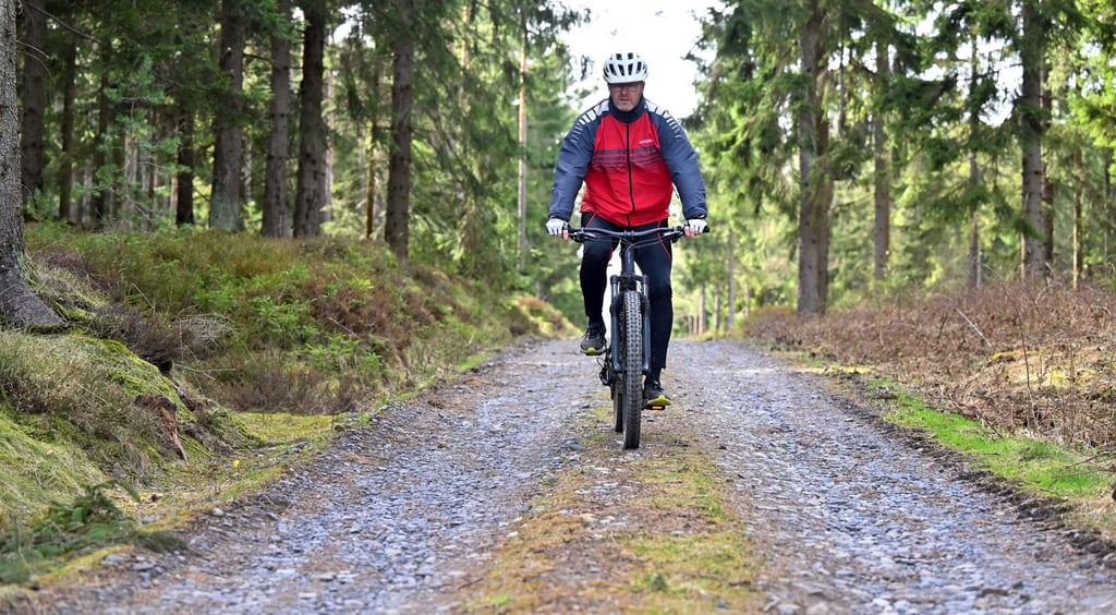 Bei den neuen Mountainbike-Strecken werden mehrere Höhenmeter überbrückt. (Archivbild)