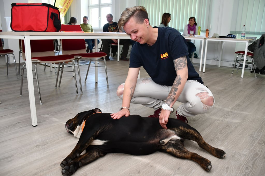 Sabrina Löffler misst bei ihrem Hund Tayson den Puls. Sie leitet den neuen Erste-Hilfe-Kurs für Hunde in Magdeburg.