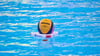 Spandau 04 steht mal wieder im Finale der Wasserball-Bundesliga.
