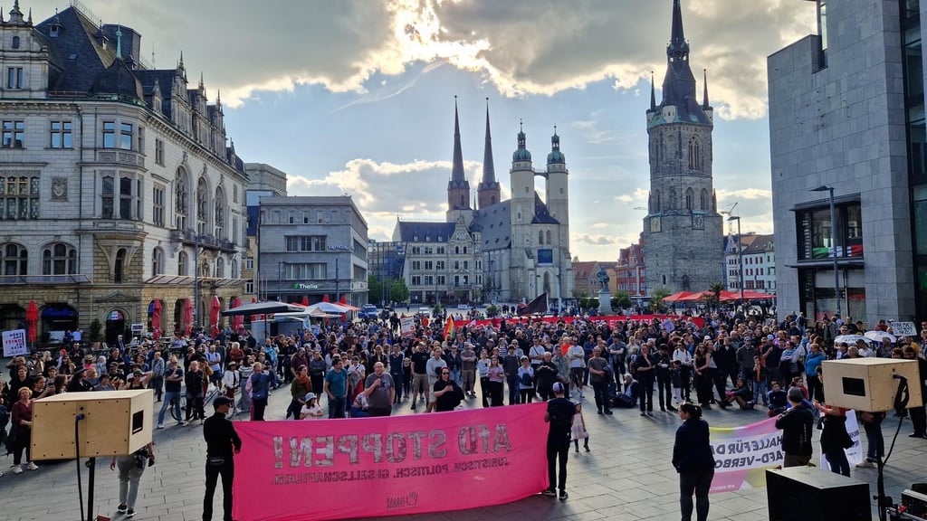 Etwa 750 Menschen nahmen am Protest in Halle teil.
