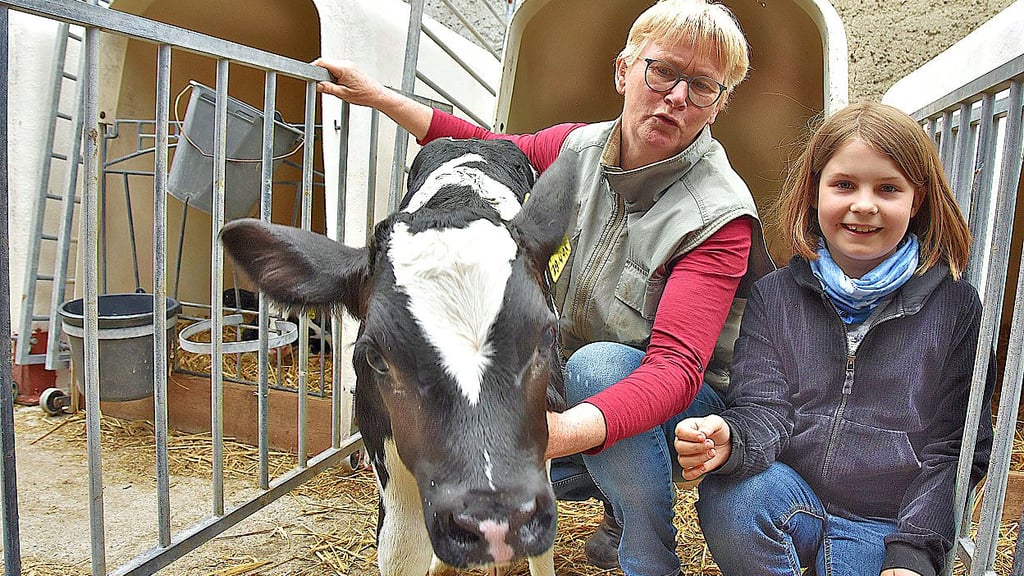 Alma ist begeistert von den Kälbern. Nellie van Tol zeigt der Neujährigen, wie die Kälbchen auf dem Milchviehhof versorgt werden.