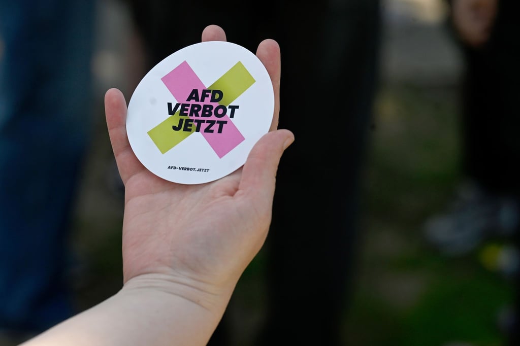 An verschiedenen Orten in Niedersachsen und Bremen demonstrieren Menschen für ein Verbot der AfD.