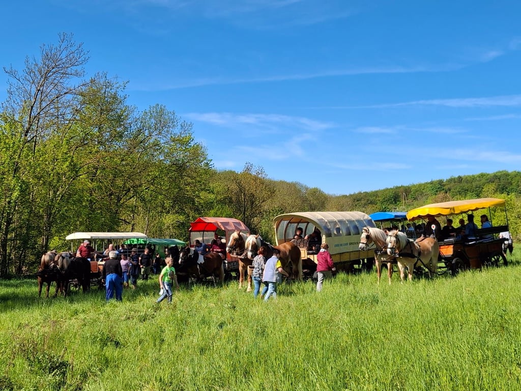 Der Einladung nach Röderhof (Landkreis Harz) zur ersten gemeinsamen Kremserfahrt waren zahlreiche Gepanne gefolgt.