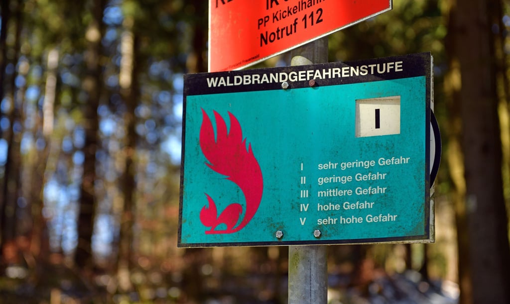 Die durch Brände geschädigte Waldfläche erreichte in Thüringen vergangenes Jahr ein 30-Jahres-Hoch. Flächendeckende Frühwarnsysteme hält der Landesforstbetrieb dennoch für unnötig. (Archivfoto)