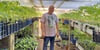 IIn seinem Gewächshaus hat Uwe Meinz 130 verschiedene Tomaten stehen. 