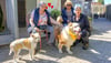 Elli Schlicht (links) hat Ivo (Mitte) aufgenommen. Birgit Luka (2.v.l.) und Steffi Schreyl von der Tierauffangstation sind froh, dass alle  aus der „Hunde-Hölle“ geretteten Tiere innerhalb von fünf Monaten ein neues, liebevolles Zuhause gefunden haben. 