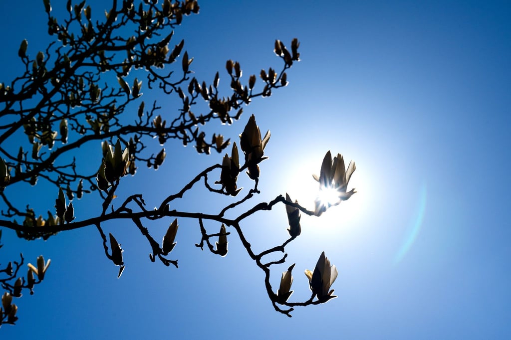 In Bremen und Niedersachsen wird es sonnig. (Symbolbild)