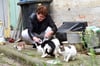 In Maasdorf sorgen zahlreiche verwahrloste Katzen fü+r Ärger. Evelyn Schwertfeger von der Köthener Tierhilfe kümmert sich um die Tiere.
