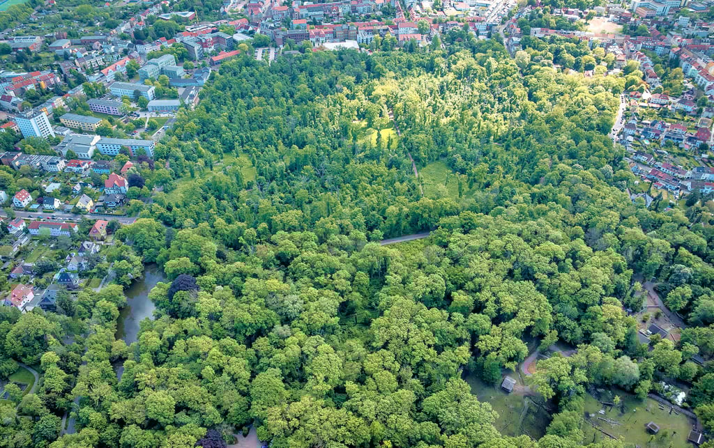 Das Luftbild vom 9. Mai zeigt: Die Fasanerie ist die sprichwörtliche „Grüne Lunge“ mitten in Köthen. Besucher können den Stadtwald auf dem Rad, zu Fuß oder mit dem Kinderwagen erkunden.