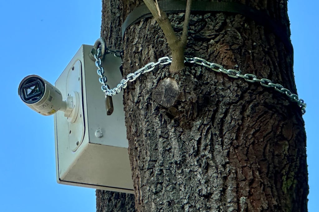 Sorgt für Verwirrung: Die angekettete Kamera an einem Straßenbaum an der B1 am Ortsausgang Burg.